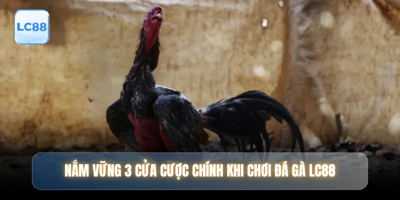 Nắm vững 3 cửa cược chính khi chơi đá gà LC88